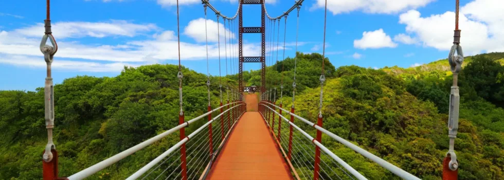 Zipline bridge near sheraton maui