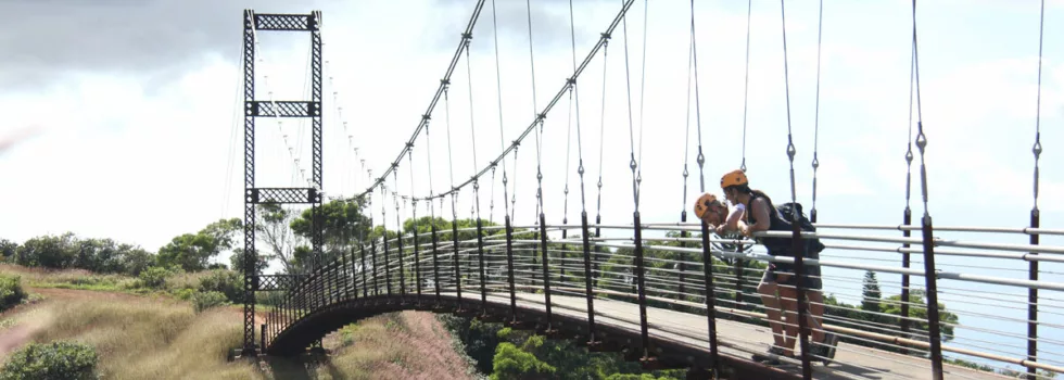 Zipline bridge in maui
