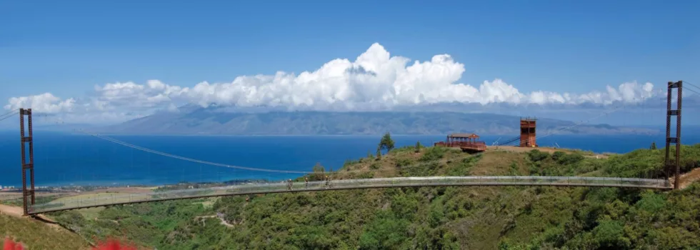 Exciting zipline maui