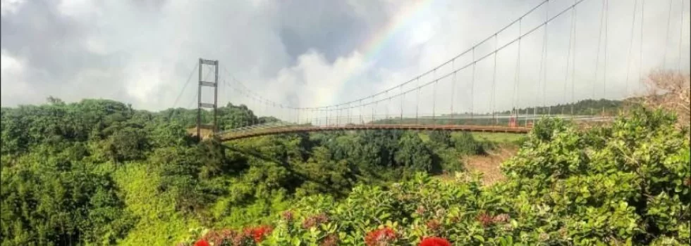 Zipline near lahaina