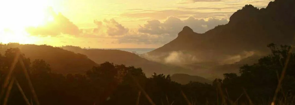 Sunset views utv tour kauai
