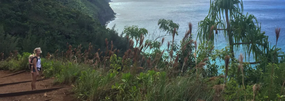 Kauai sightseeing tour with babies
