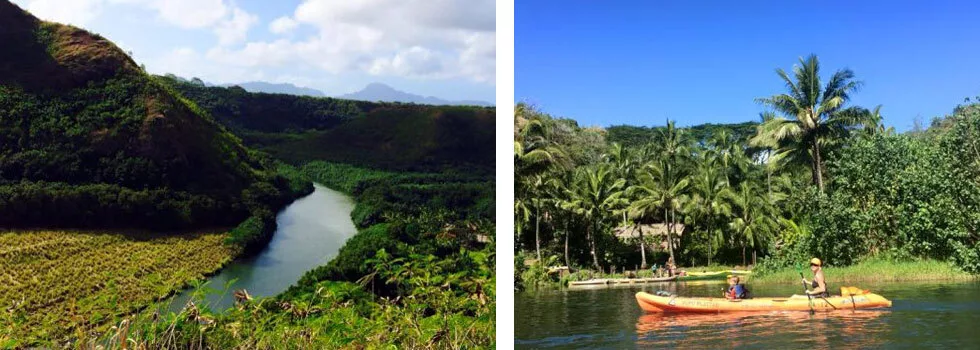 Best kayak waialua river kauai