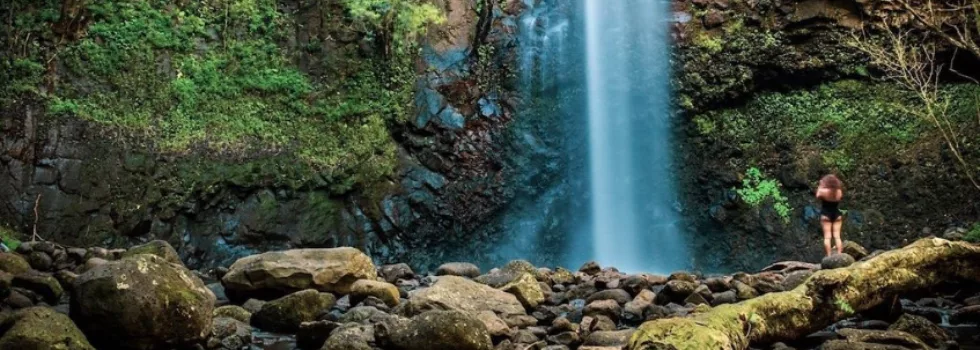 Visit secret waterfall hike kauai