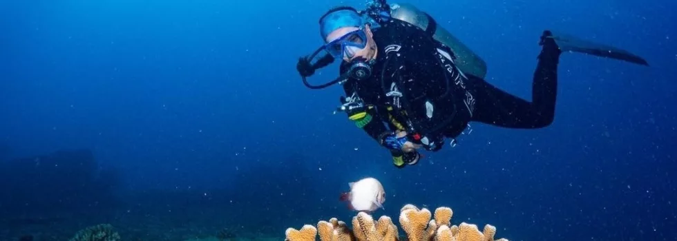 Best dive site poipu
