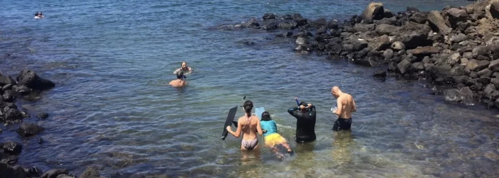 Learn to discover scuba poipu