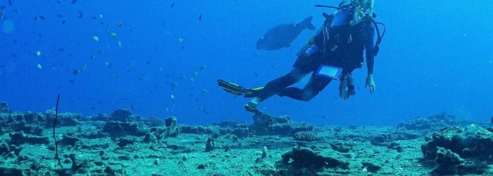 Try scuba dive kauai