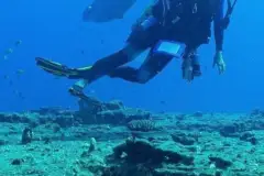 Learn to Scuba Dive in Poipu: Try scuba dive kauai