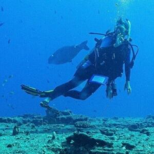 Learn to Scuba Dive in Poipu