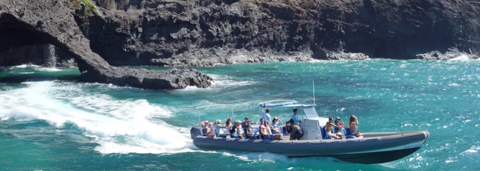Best boat tour on kauai