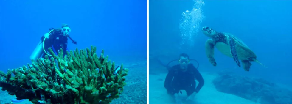 Best scuba dive kauai