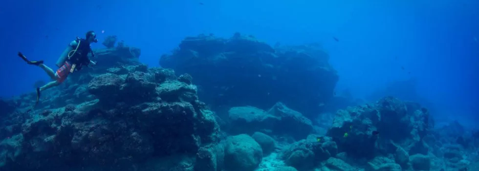 Scuba diving near poipu