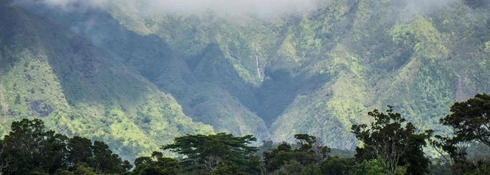 Fastest-longest-zipline-kauai