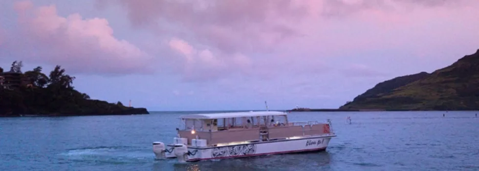 Sunset at sonesta beach kauai