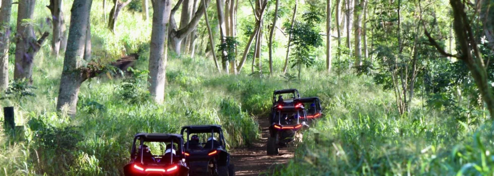 Atv tour kauai jungle
