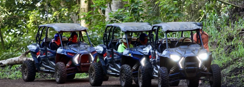 Atv tour kauai forest