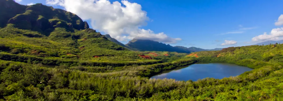 Kauai mountain guided hike