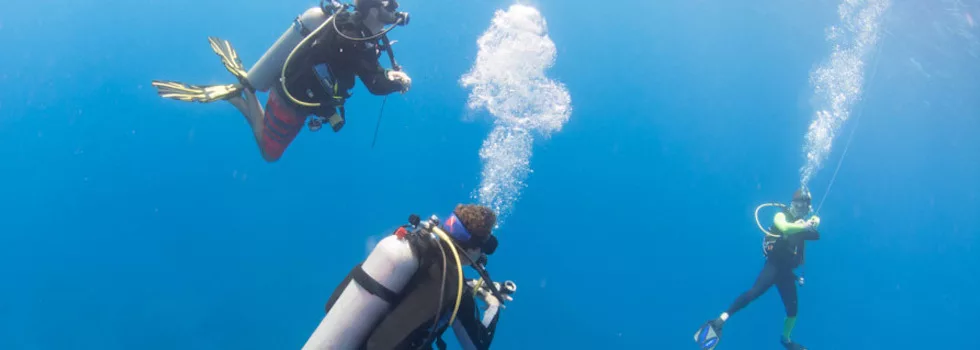 Best divemaster on kauai