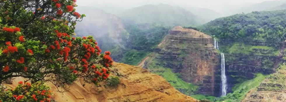 Waimea canyon hiking tour