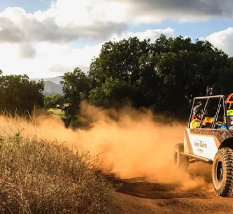 VIP 4x4 UTV Triple Trail Expedition photo 2