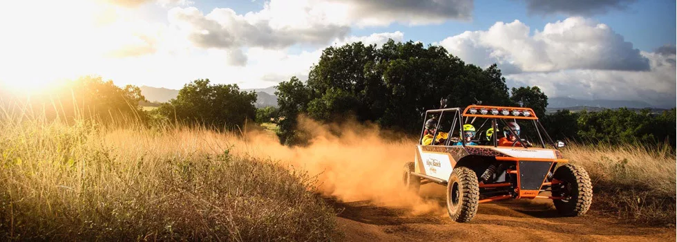 Best 4x4 tours kauai