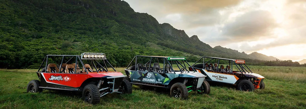 Extreme off road dune buggy
