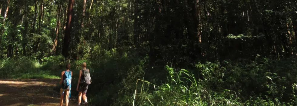 Hiking tours on kauai