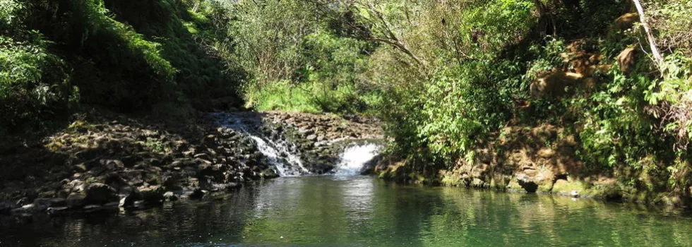 Jungle swim hole kauai