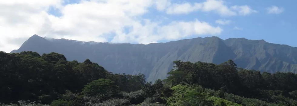 Kauai mountain range back country