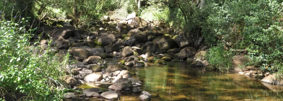 Kauai stream off road tour