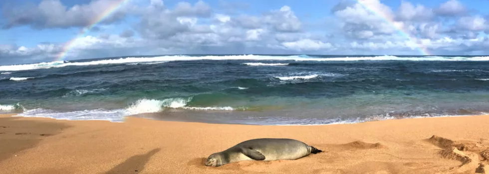 Wild life tours kauai
