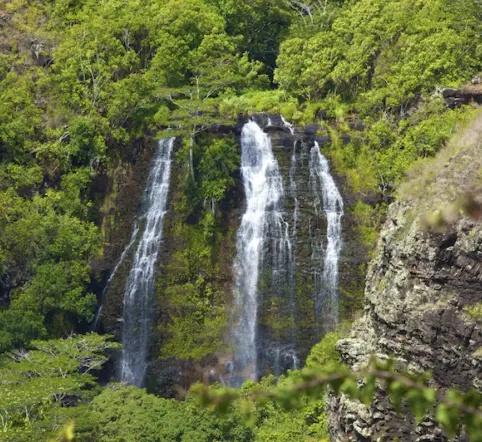 Best of Kauai Sightseeing Tour photo 3