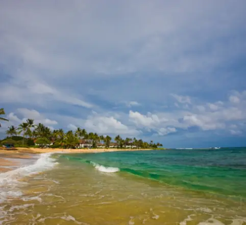 Best of Kauai Sightseeing Tour photo 4