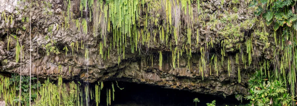 Fern grotto kauai