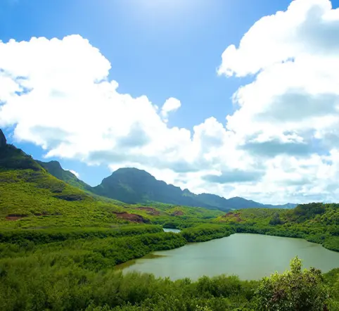 Best of Kauai Sightseeing Tour photo 5