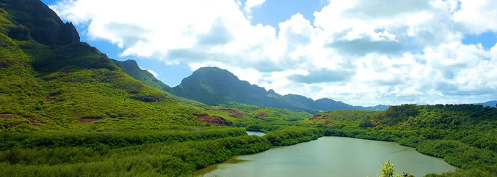 Menehune fish pond kauai