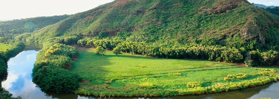 Wailua river bend kauai