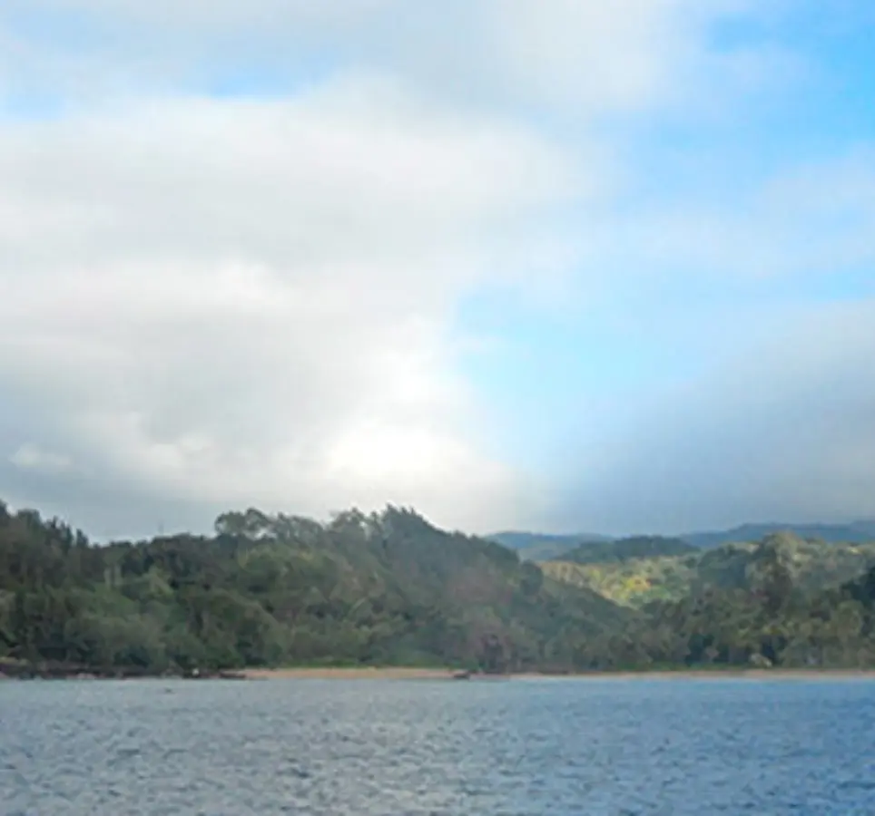Poipu Whale Watching Small Boat Tour
