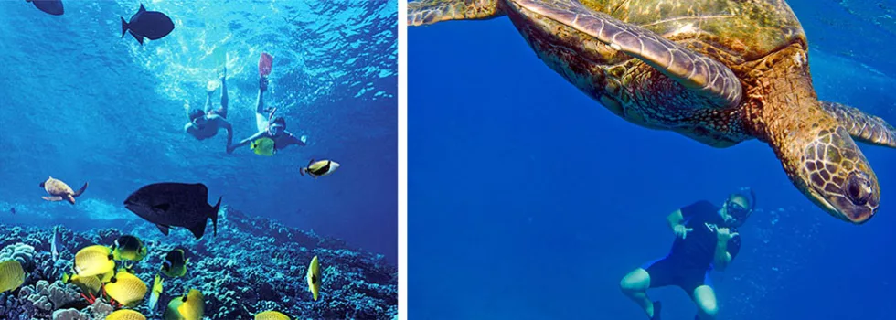 Boat snorkeling poipu