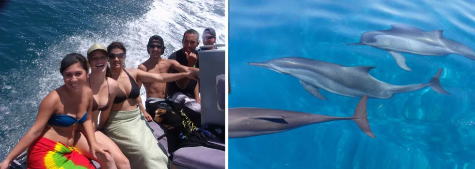 Zodiac dolphin tour poipu