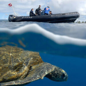 Poipu Snorkel Zodiac Boat Tour