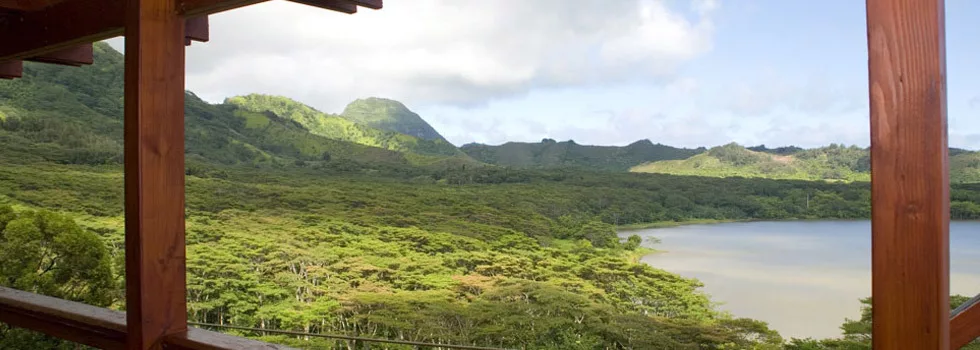View from zipline kauai