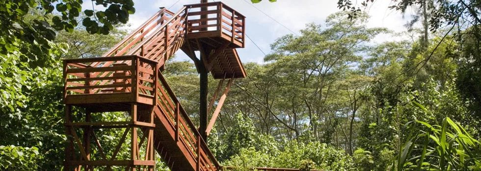 Zipline height kauai