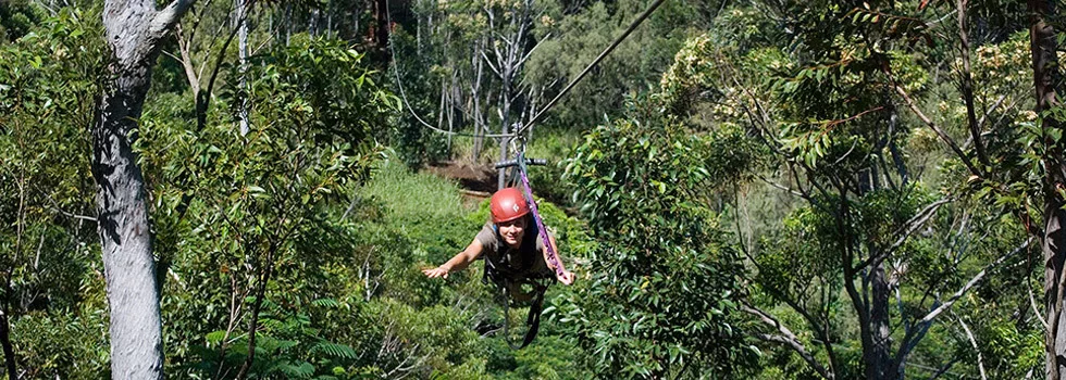Zipline through rainforest kauai