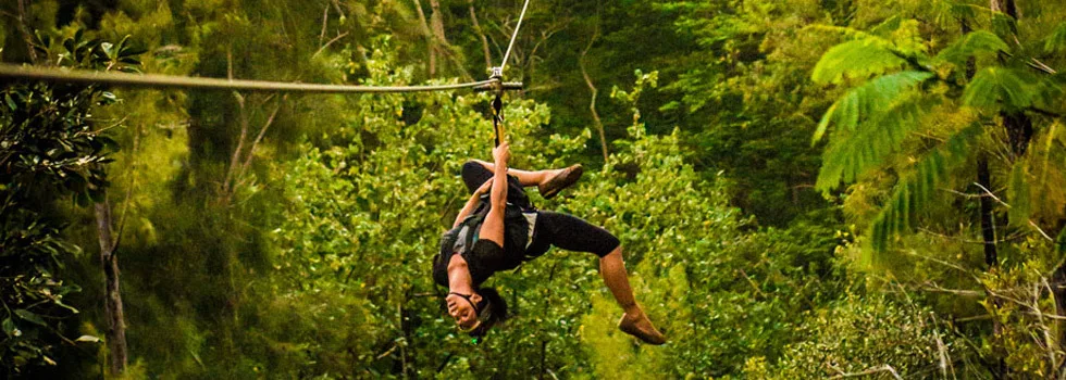 Upside down zipline