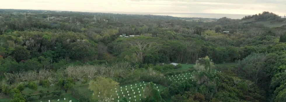 Hawaii best chocolate farm