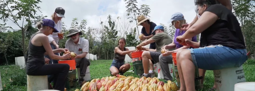 Chocolate farm tour hawaii