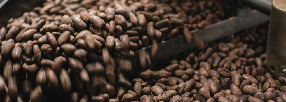 Best farm tour kauai