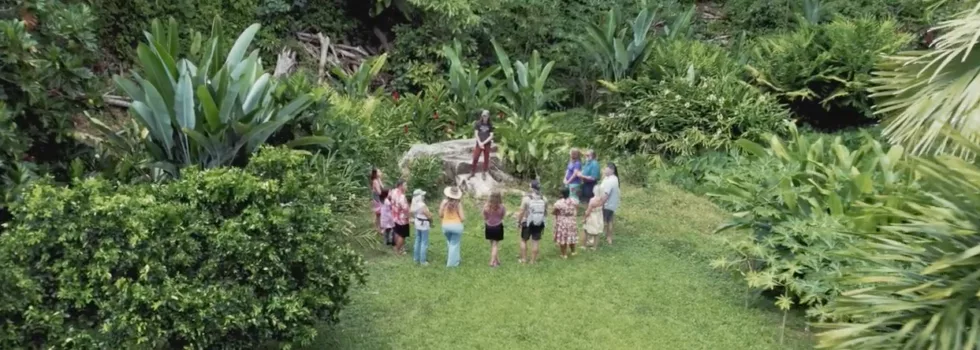 Tour a cacao farm hawaii