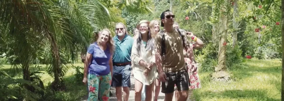 Walk through cacao farm kauai